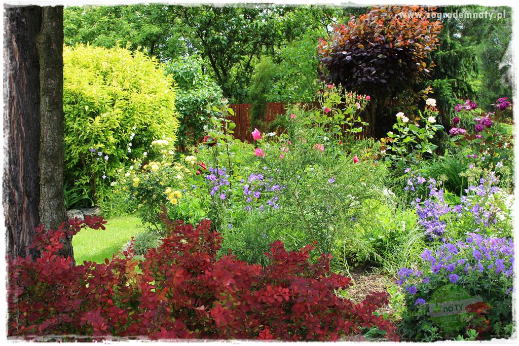 Ogrodowe studio fotograficzne 404