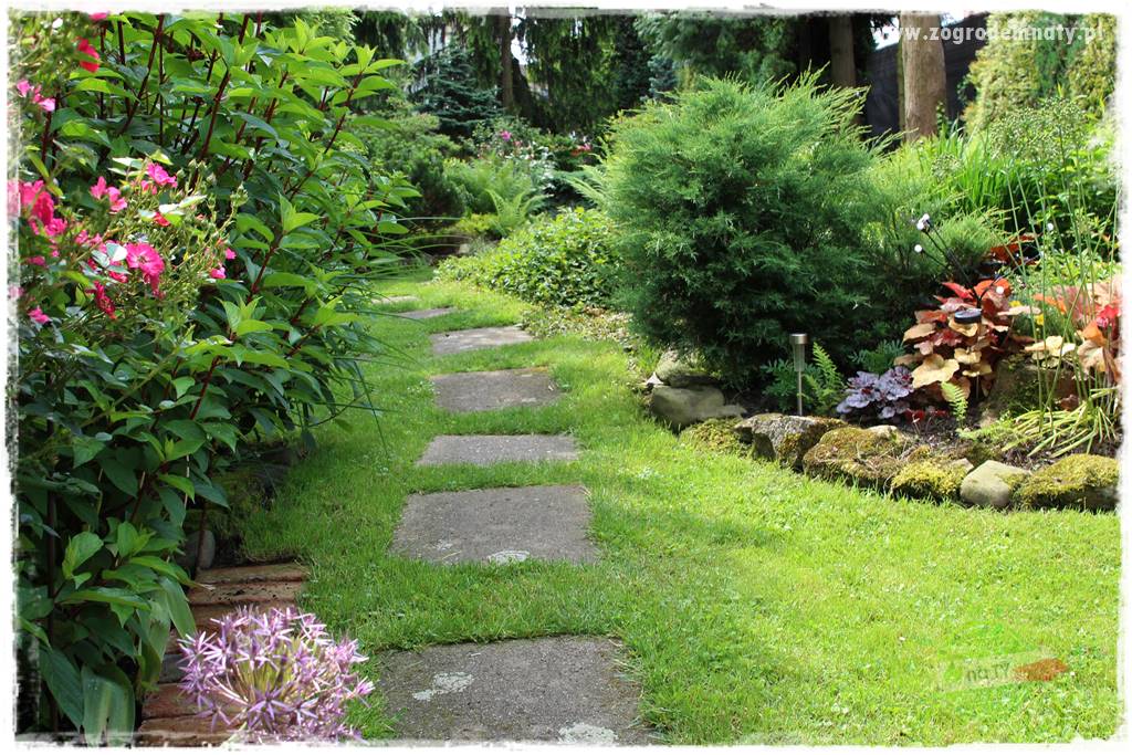 Ogrodowe studio fotograficzne 405