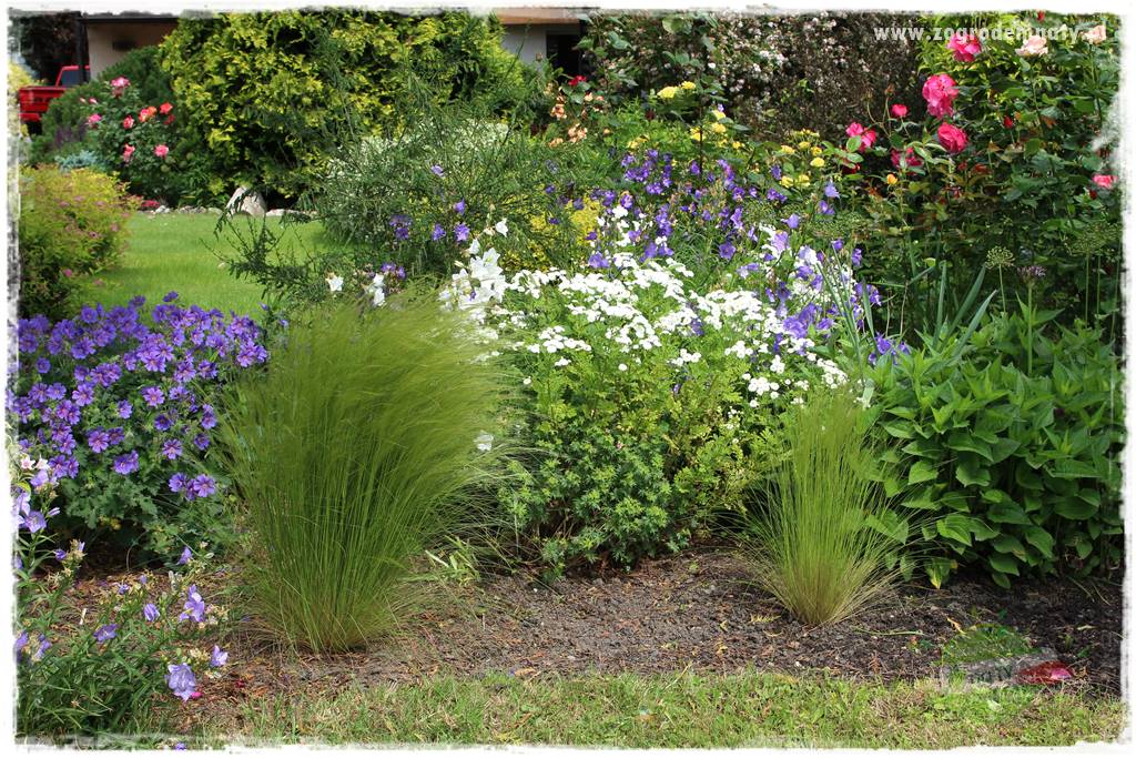 Ogrodowe studio fotograficzne 406