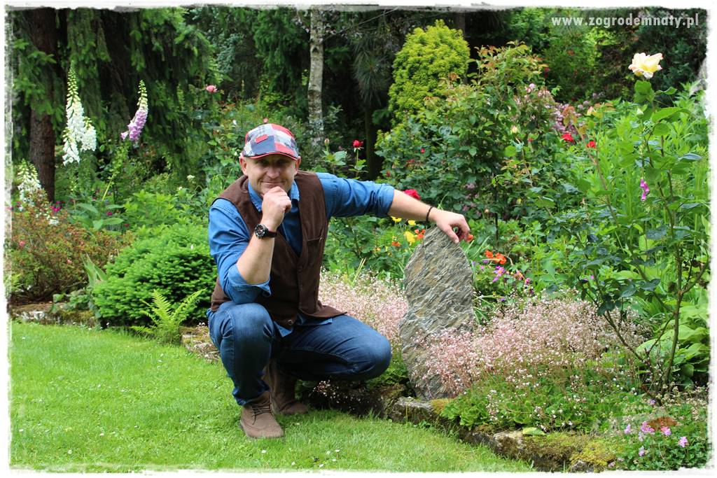 Ogrodowe studio fotograficzne 407