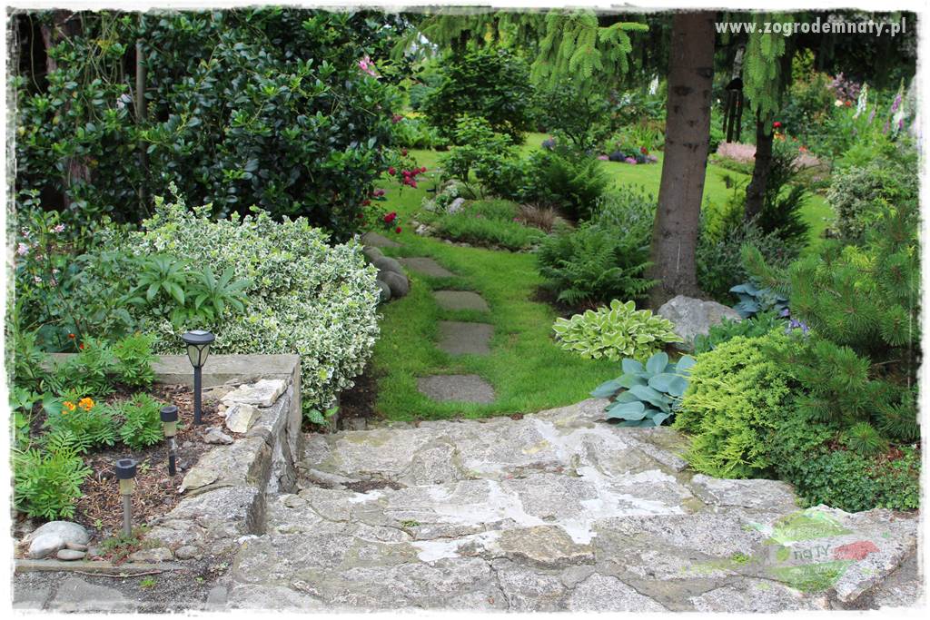 Ogrodowe studio fotograficzne 408