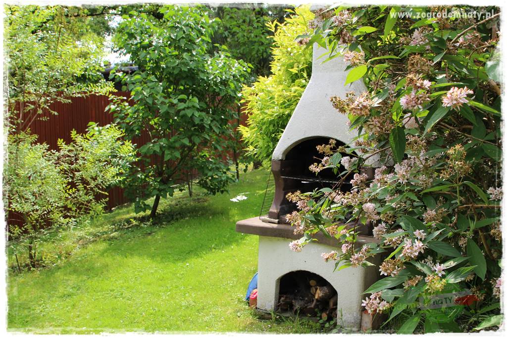 Ogrodowe studio fotograficzne 409