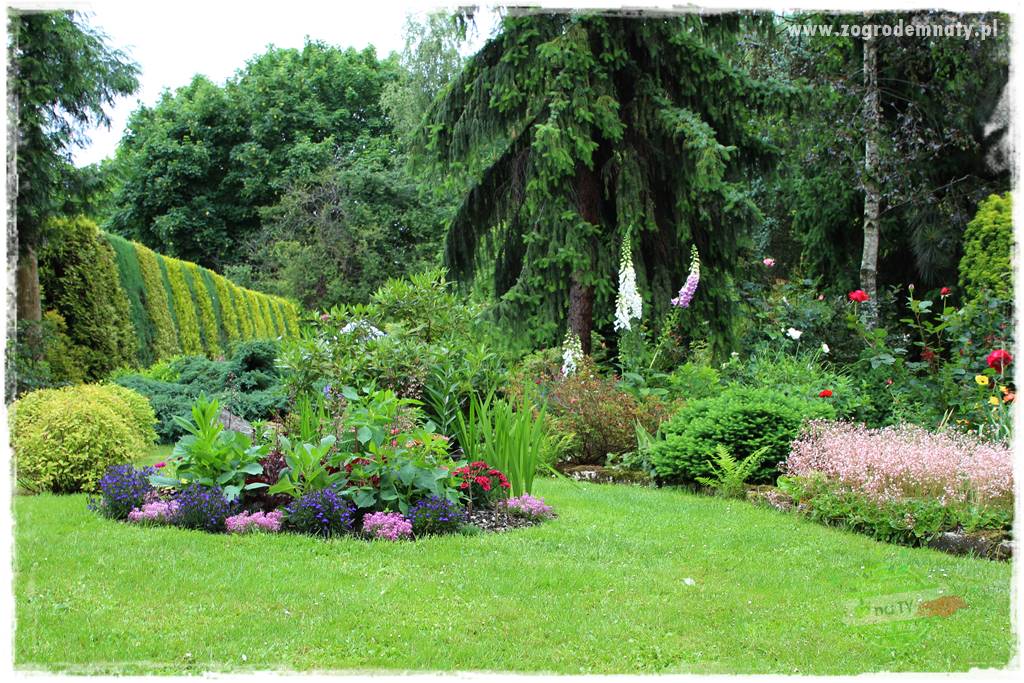 Ogrodowe studio fotograficzne 411