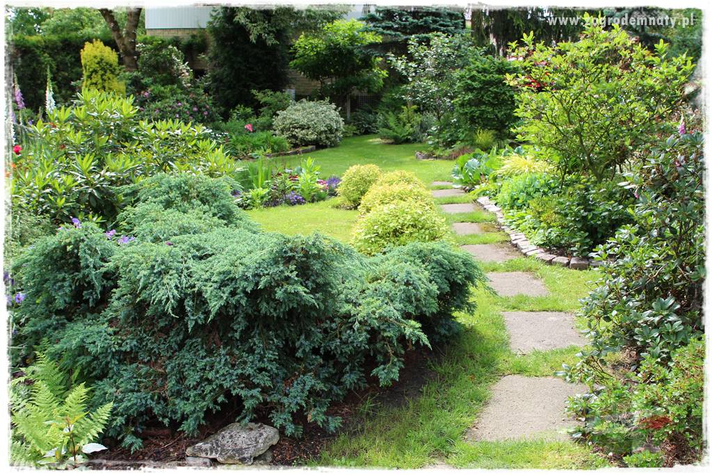 Ogrodowe studio fotograficzne 413