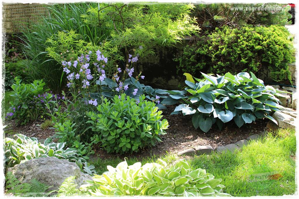 Ogrodowe studio fotograficzne 414