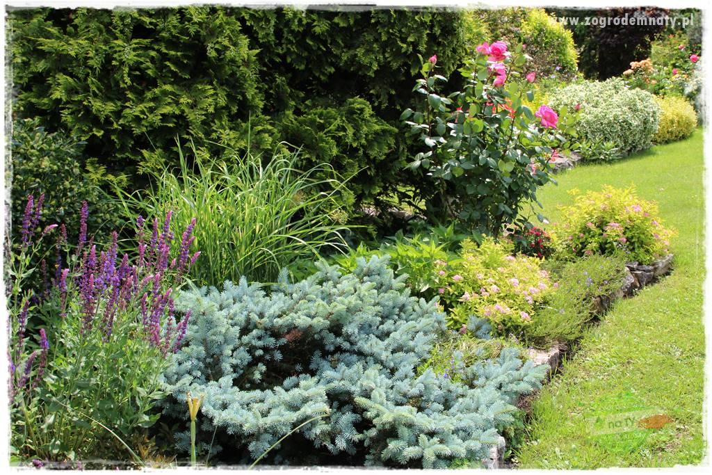 Ogrodowe studio fotograficzne 419