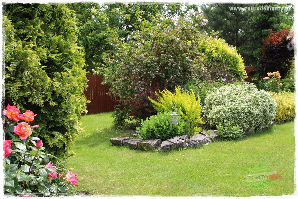 Ogrodowe studio fotograficzne 420