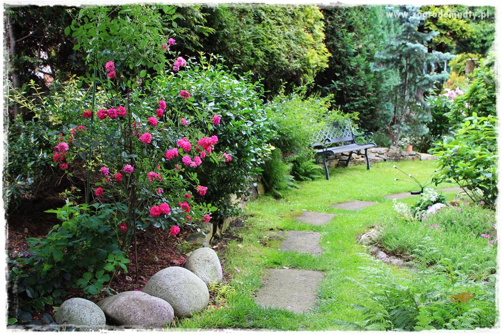 Ogrodowe studio fotograficzne 421