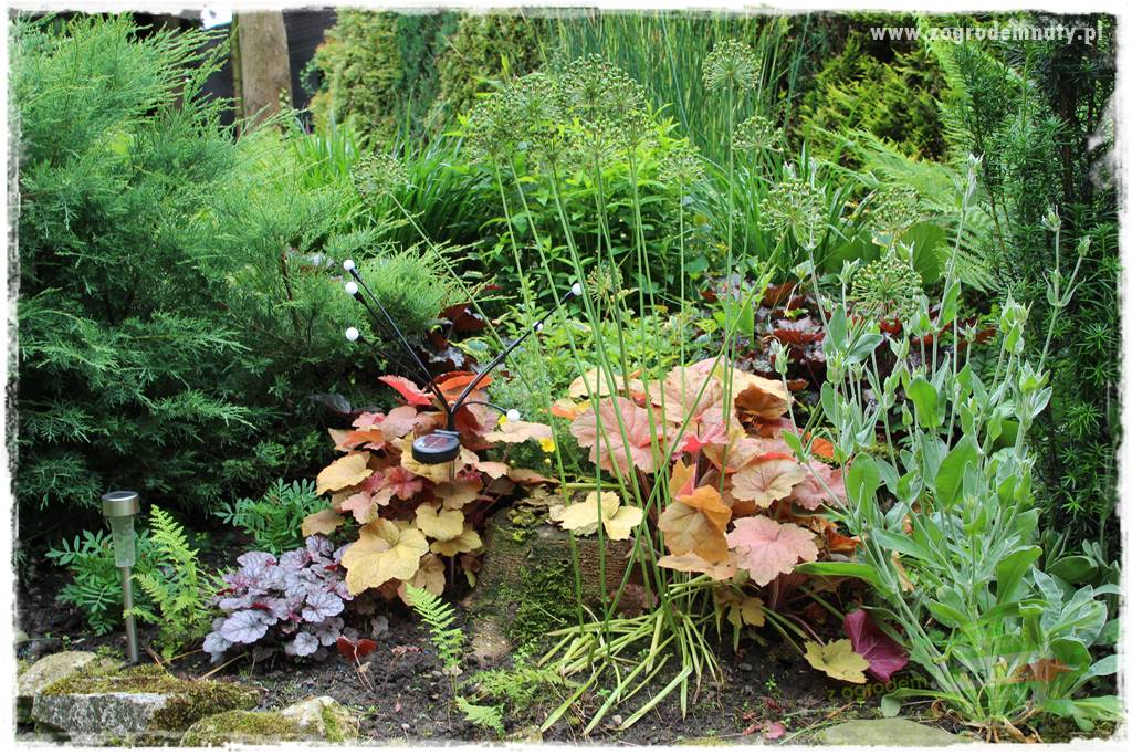 Ogrodowe studio fotograficzne 424