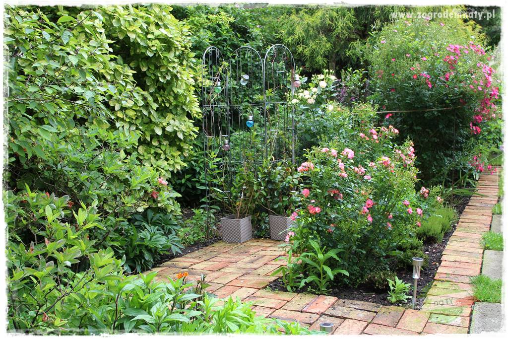 Ogrodowe studio fotograficzne 425