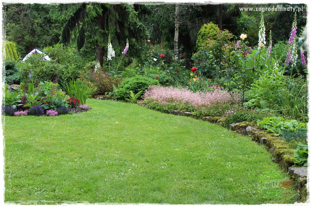 Ogrodowe studio fotograficzne 426