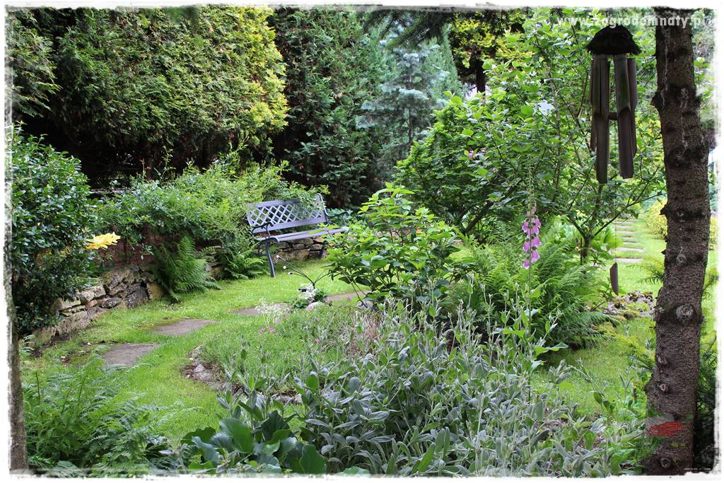 Ogrodowe studio fotograficzne 7