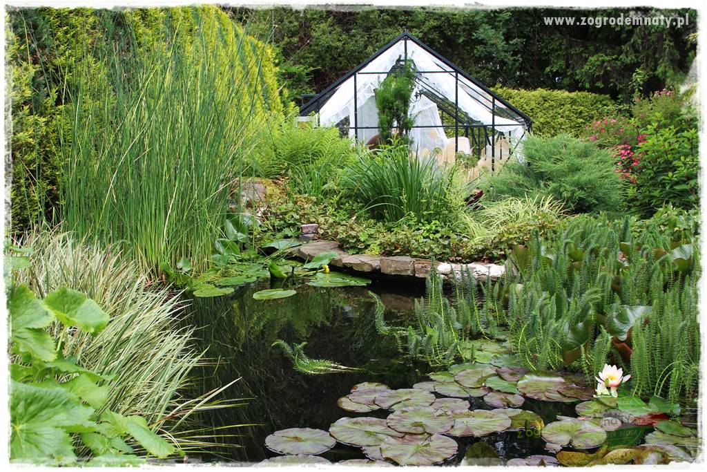 Ogrodowe studio fotograficzne 8