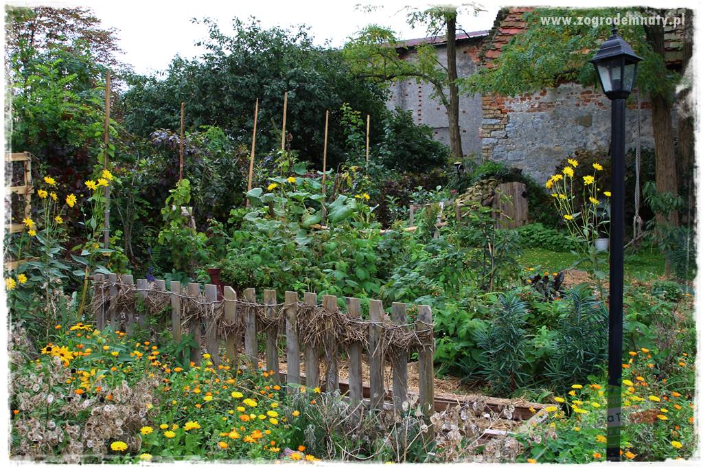 agrowłóknina ściółkująca 2 agrowłóknina ściółkująca 2