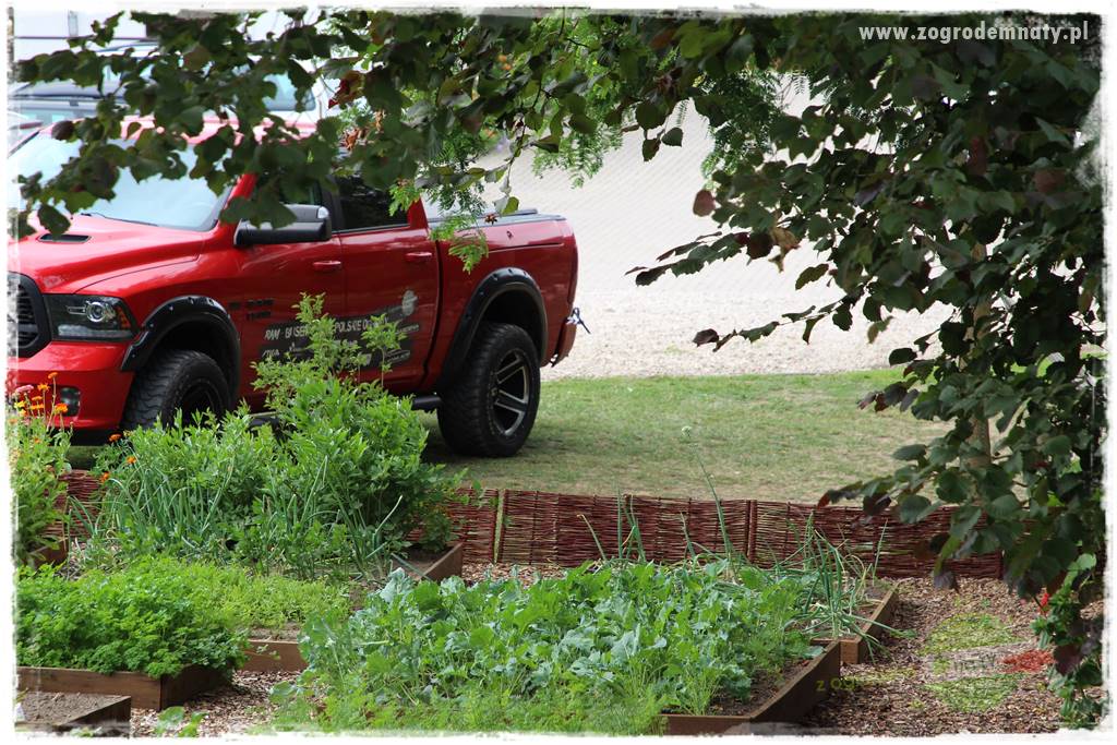 agrowłóknina ściółkująca 3 agrowłóknina ściółkująca 3