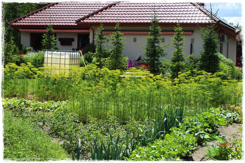 agrowłóknina ściółkująca 31 agrowłóknina ściółkująca 31