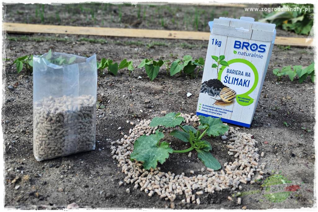bariera na ślimaki 15