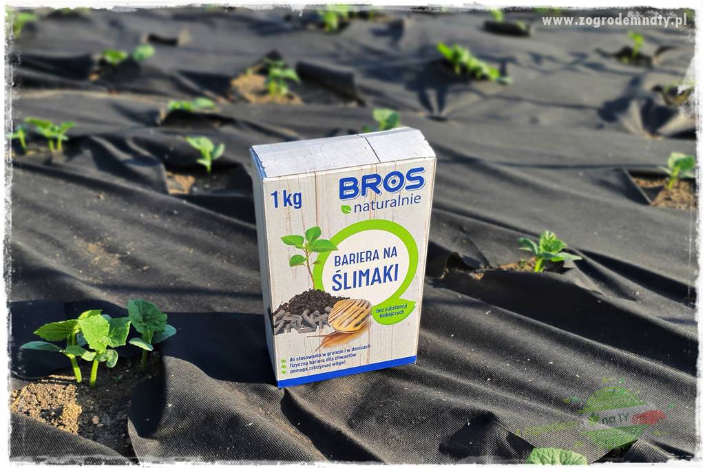bariera na ślimaki 16