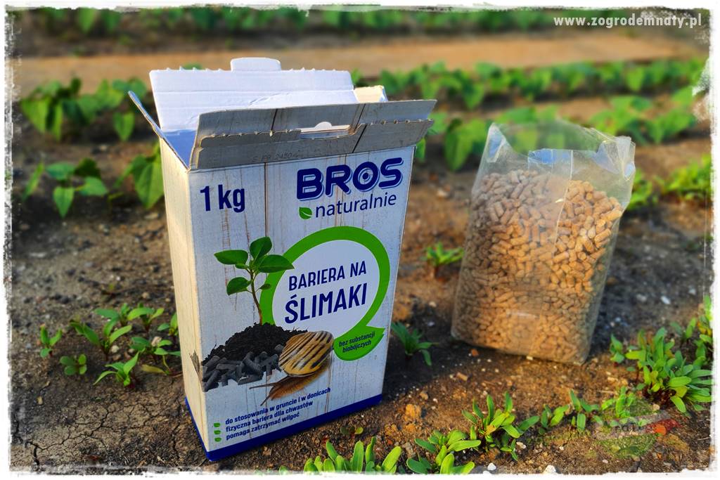 bariera na ślimaki 17