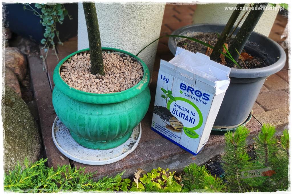 bariera na ślimaki 23