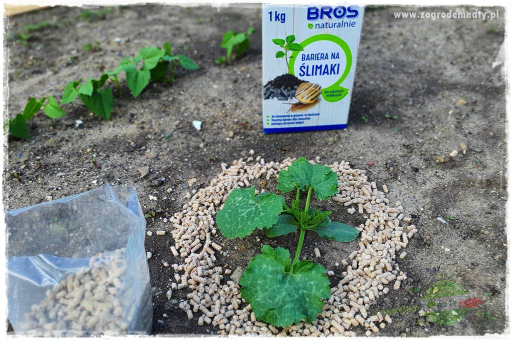 bariera na ślimaki 26