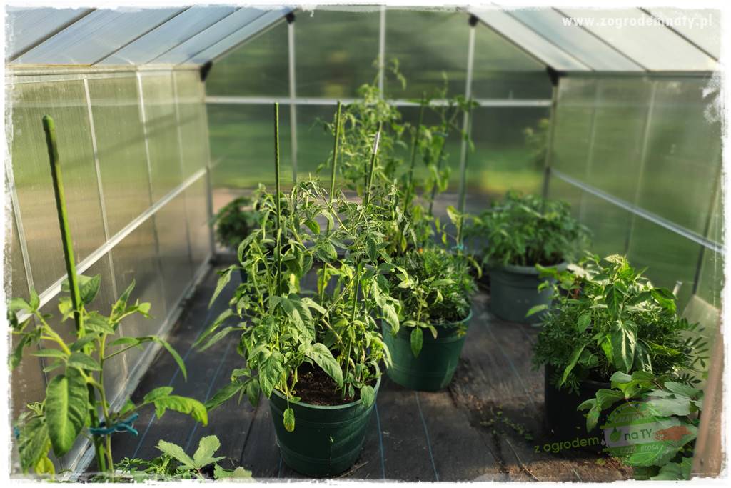 bariera na ślimaki 7