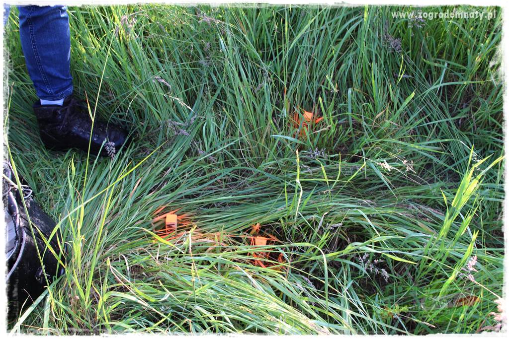 budowa sieci wodociągowych 5