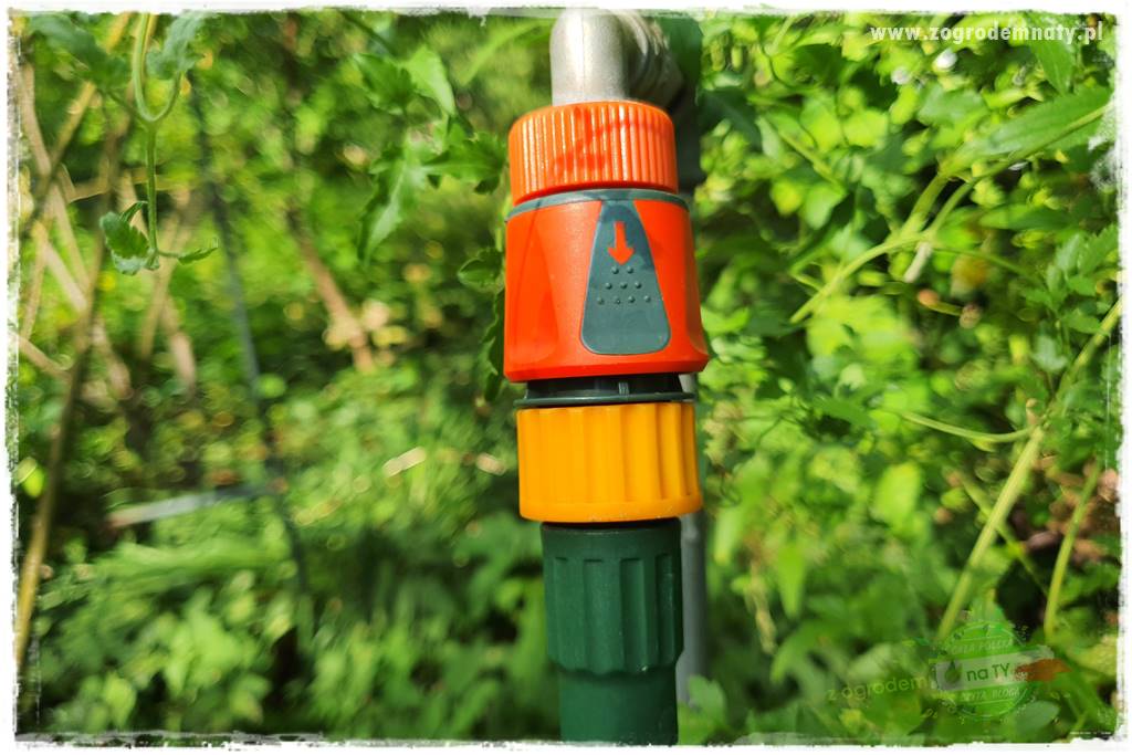 oszczędzanie wody w ogrodzie 10 oszczędzanie wody w ogrodzie 10
