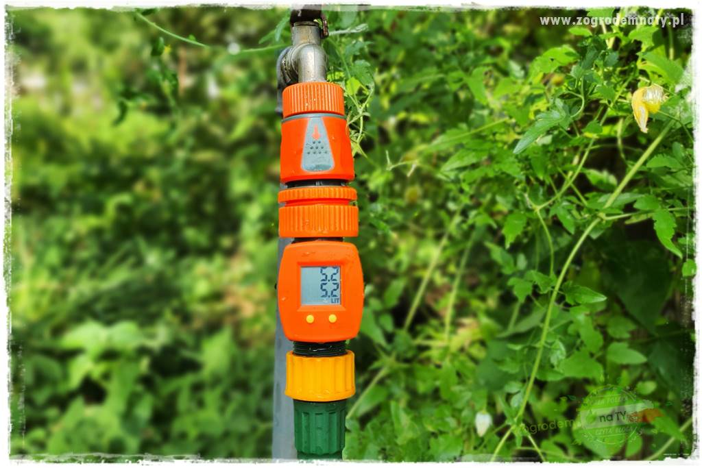 oszczędzanie wody w ogrodzie 11 oszczędzanie wody w ogrodzie 11