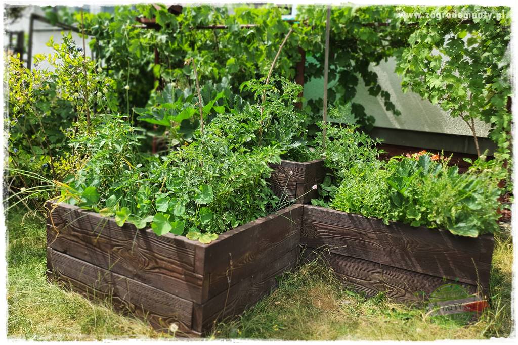 oszczędzanie wody w ogrodzie 2 oszczędzanie wody w ogrodzie 2