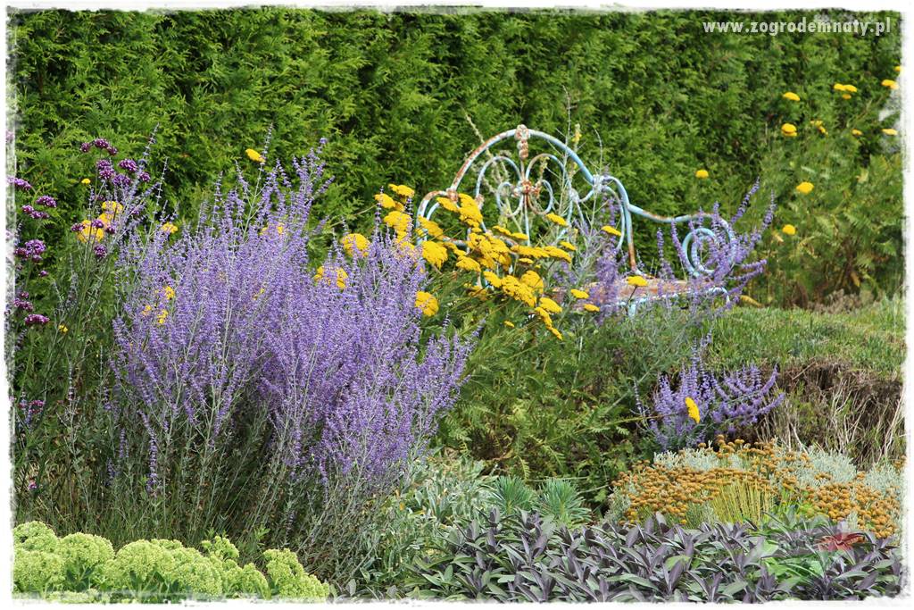 oszczędzanie wody w ogrodzie 20 oszczędzanie wody w ogrodzie 20