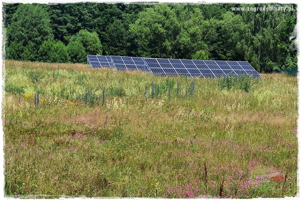 oszczędzanie wody w ogrodzie 24 oszczędzanie wody w ogrodzie 24