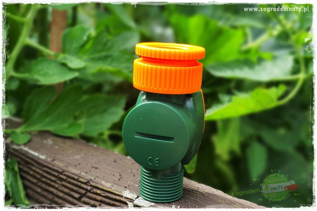 oszczędzanie wody w ogrodzie 28