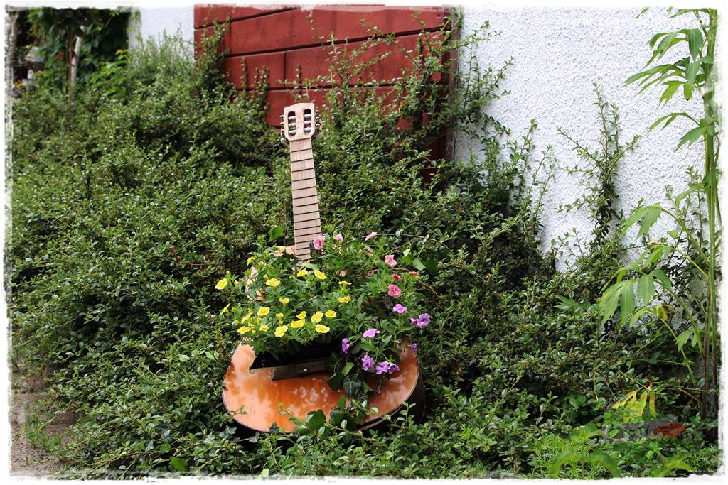 Krzewy ozdobne łatwe w uprawie 19 Krzewy ozdobne łatwe w uprawie 19