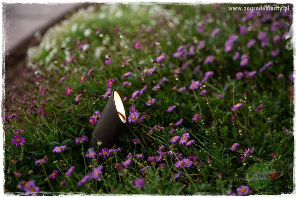 Nowoczesne oświetlenie ogrodu 15