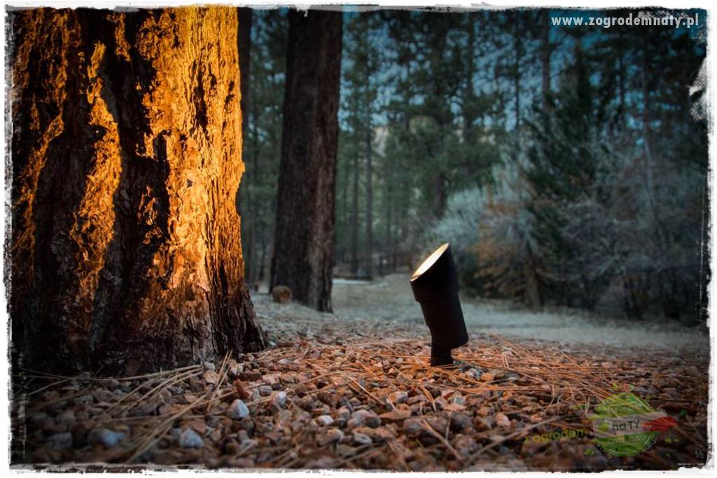 Nowoczesne oświetlenie ogrodu 17