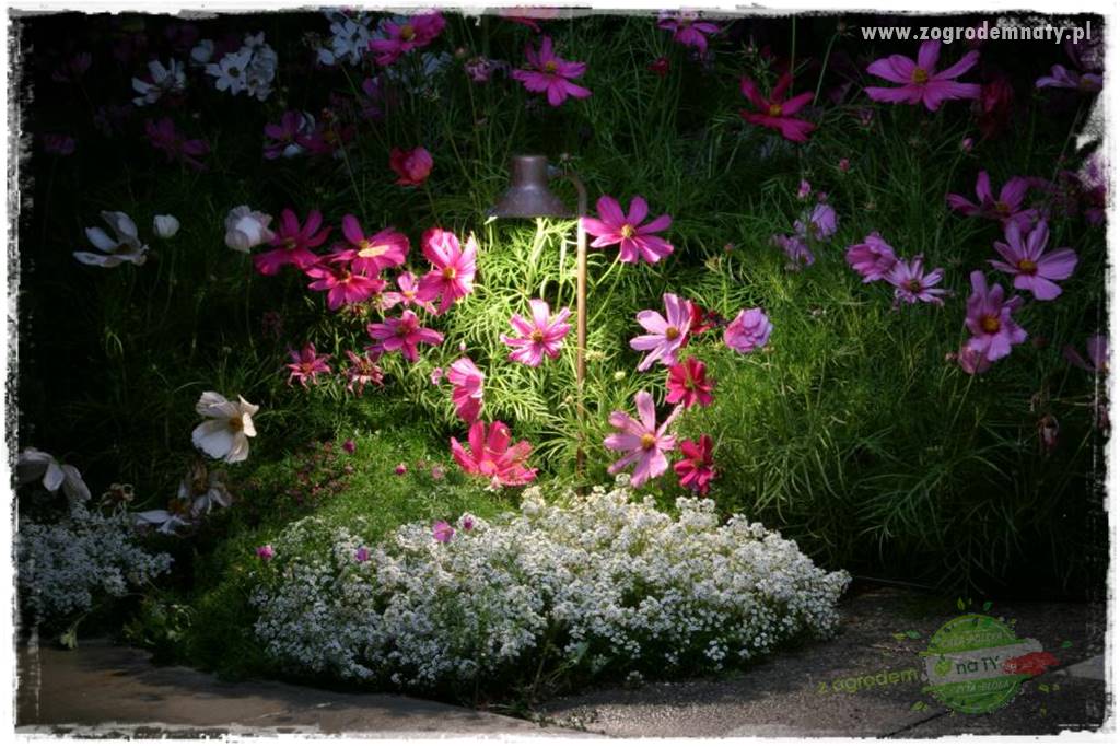 Nowoczesne oświetlenie ogrodu 35