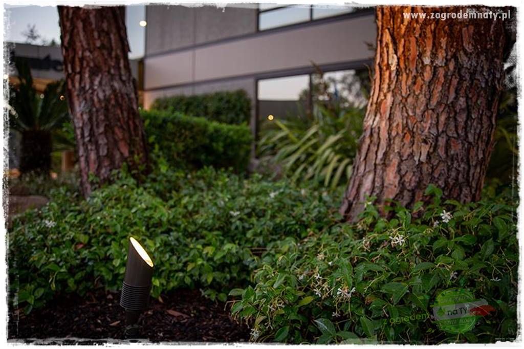 Nowoczesne oświetlenie ogrodu 41