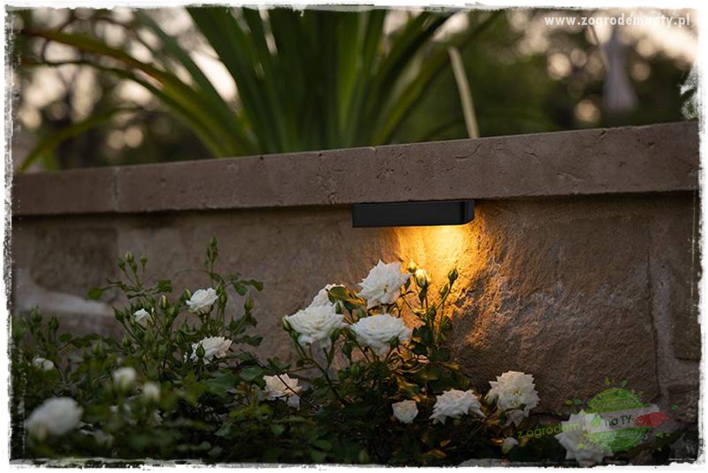 Nowoczesne oświetlenie ogrodu 44