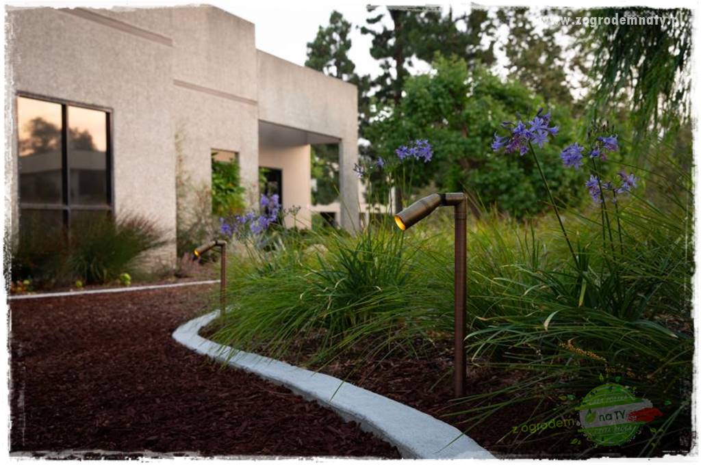 Nowoczesne oświetlenie ogrodu 51