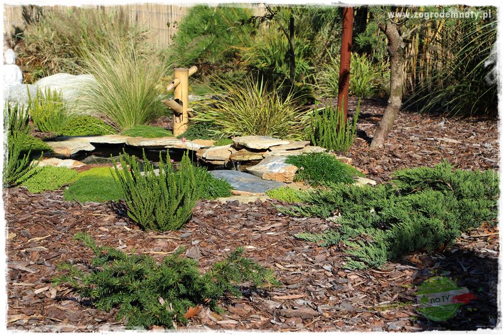 Rośliny kwasolubne 57