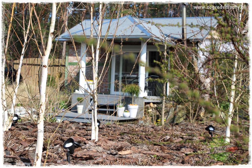 Rośliny kwasolubne 59