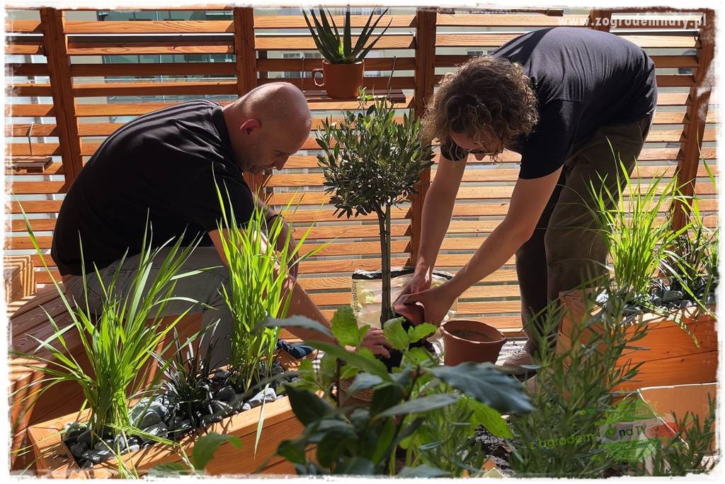 aranżacja balkonu 23