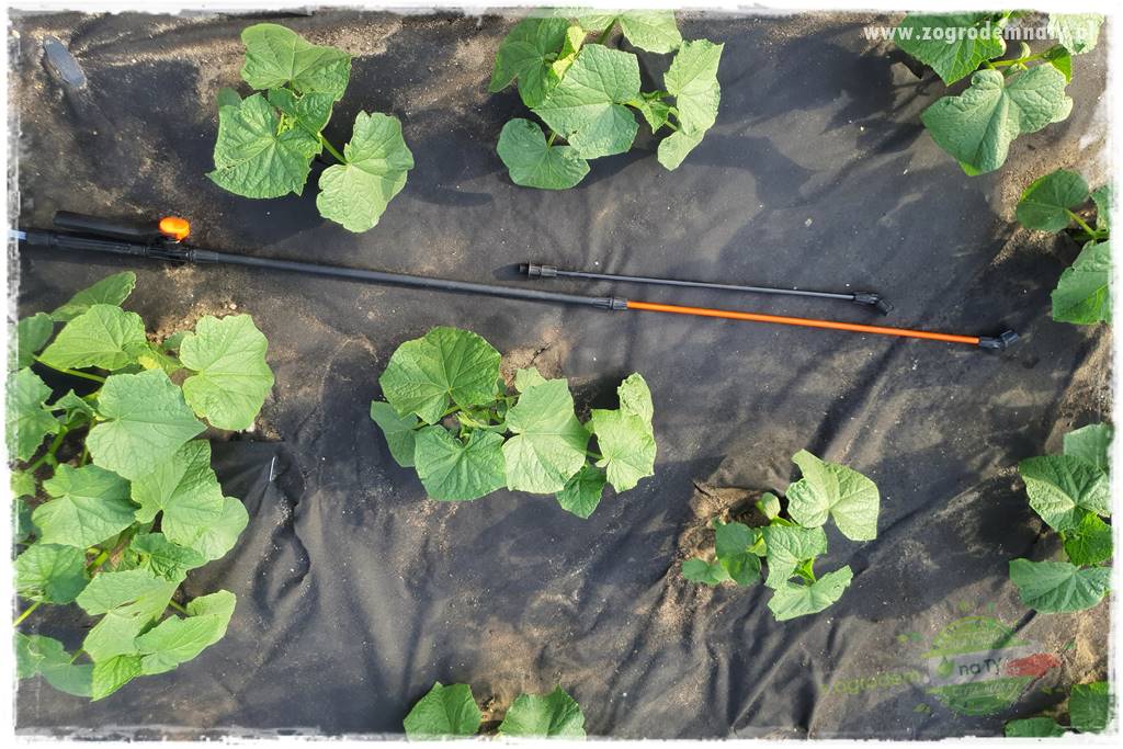 końcówki do opryskiwacza 16