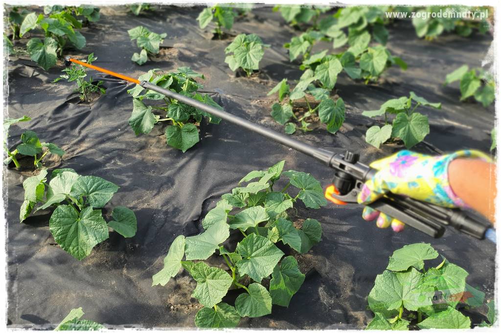 końcówki do opryskiwacza 18