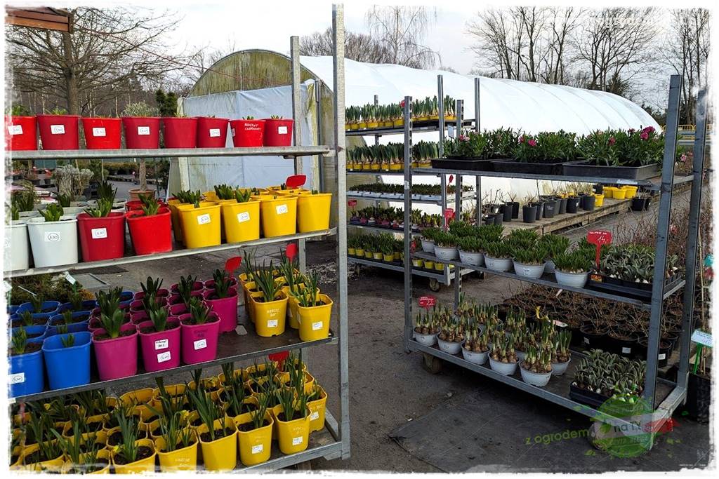 końcówki do opryskiwacza 21