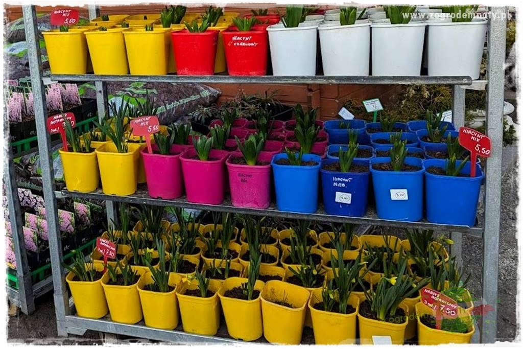 końcówki do opryskiwacza 22