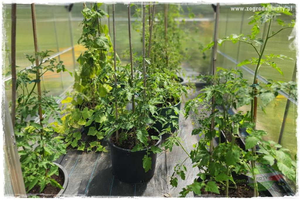 końcówki do opryskiwacza 23