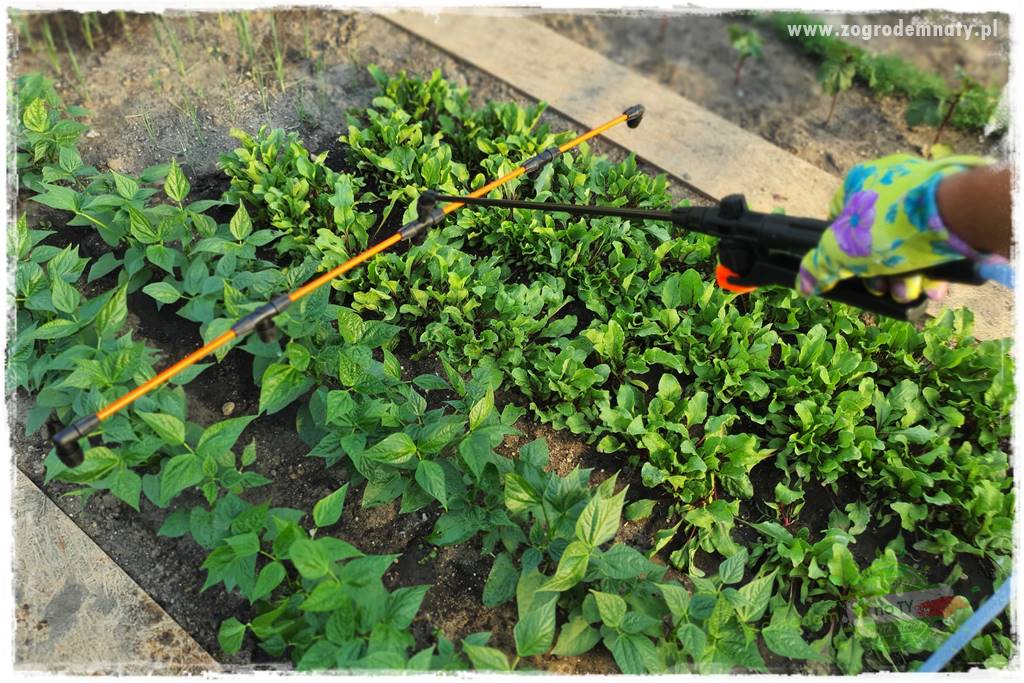 końcówki do opryskiwacza 28