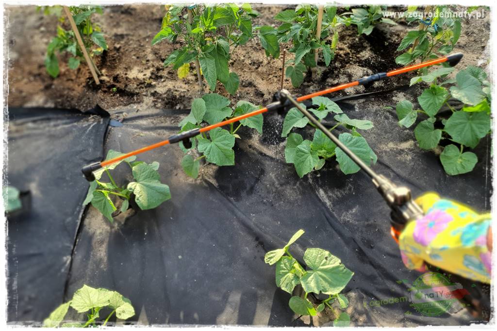 końcówki do opryskiwacza 29